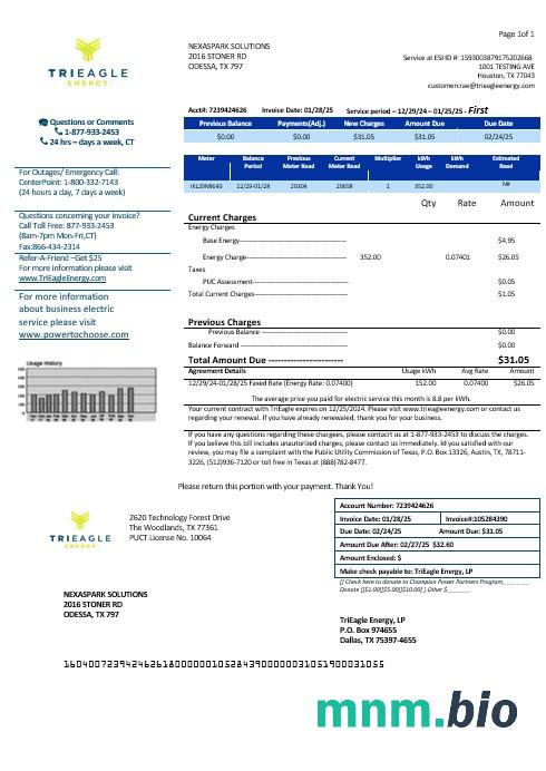 USA Texas TriEagle rachunek za usługi komunalne szablon w formacie Word i PDF
